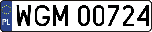 WGM00724