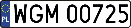 WGM00725