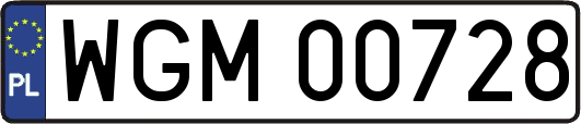 WGM00728