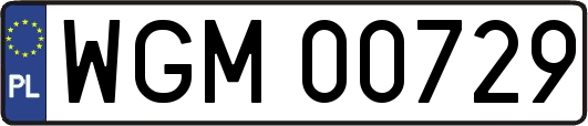 WGM00729