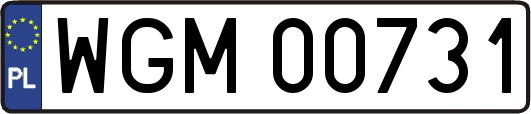WGM00731