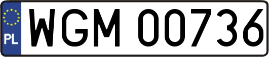 WGM00736