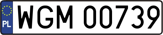 WGM00739