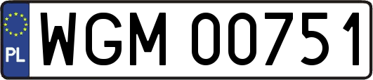 WGM00751