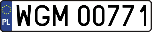 WGM00771