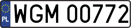 WGM00772