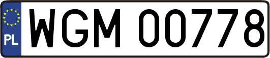WGM00778