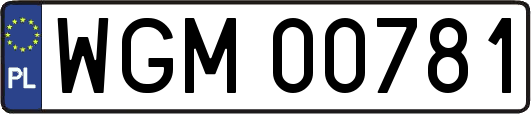WGM00781