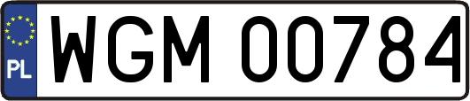 WGM00784