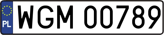 WGM00789