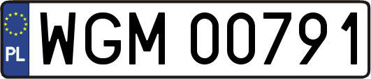 WGM00791