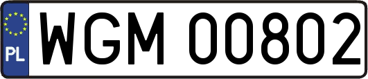 WGM00802