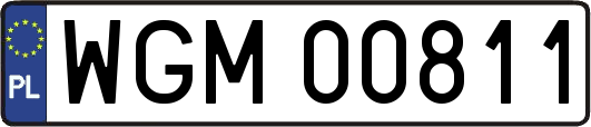 WGM00811