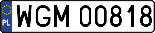 WGM00818