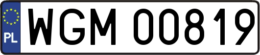 WGM00819