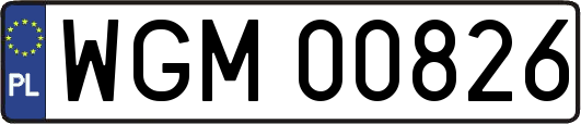 WGM00826