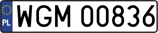 WGM00836