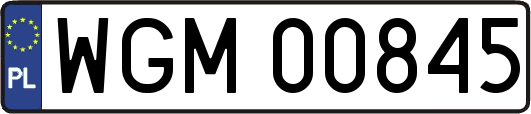 WGM00845