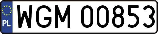 WGM00853