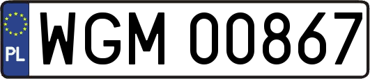 WGM00867