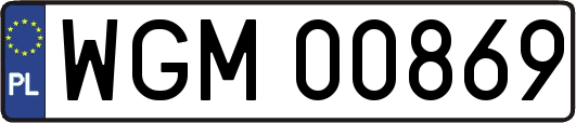 WGM00869