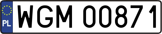 WGM00871