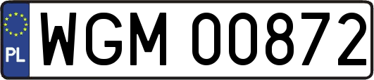 WGM00872