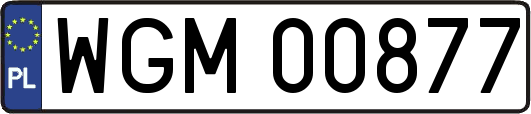 WGM00877