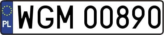 WGM00890