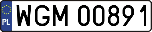 WGM00891