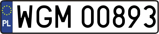 WGM00893