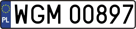 WGM00897