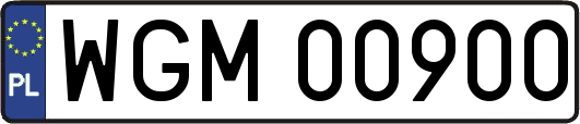 WGM00900