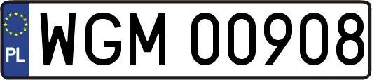 WGM00908