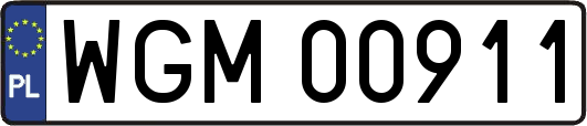 WGM00911