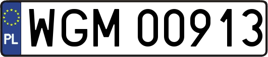 WGM00913