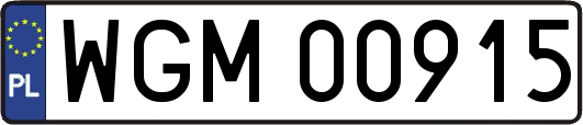 WGM00915