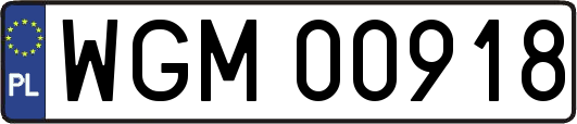 WGM00918