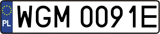 WGM0091E