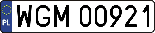 WGM00921