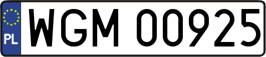 WGM00925