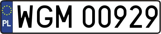 WGM00929