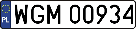 WGM00934