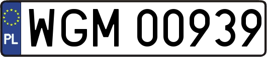 WGM00939