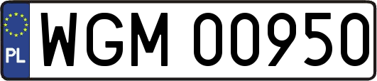 WGM00950