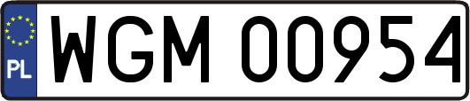 WGM00954