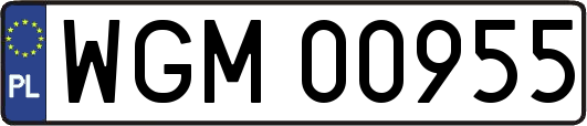 WGM00955
