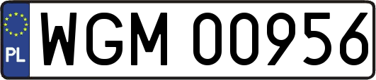 WGM00956