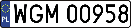 WGM00958