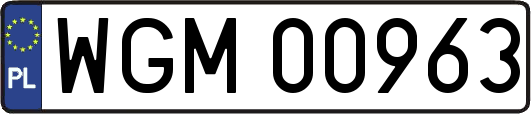 WGM00963